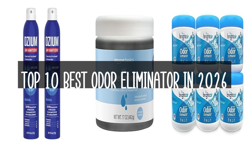Top 10 Best Odor Eliminator in 2026