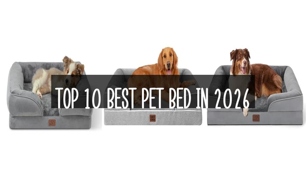 Top 10 Best Pet Bed in 2026