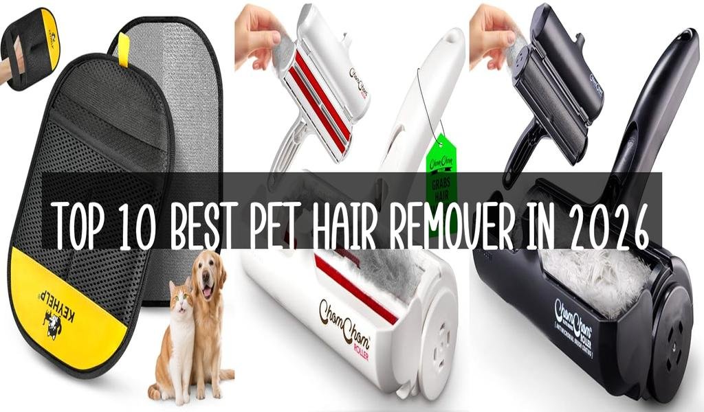 Top 10 Best Pet Hair Remover in 2026