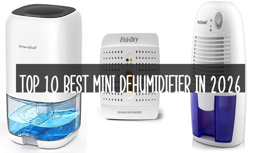 Top 10 Best Mini Dehumidifier in 2026