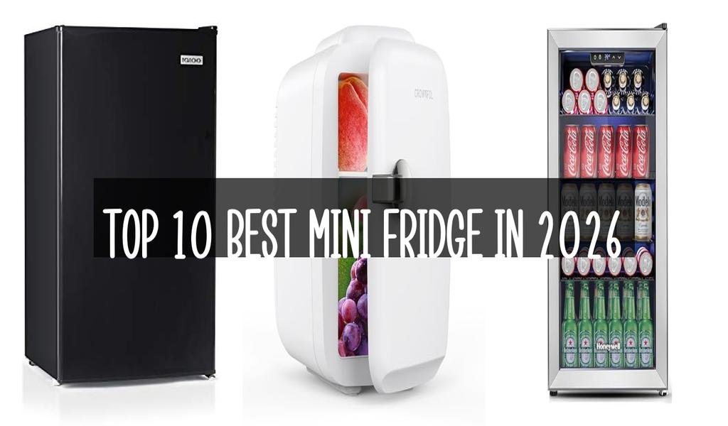 Top 10 Best Mini Fridge in 2026