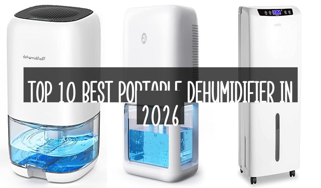 Top 10 Best Portable Dehumidifier in 2026